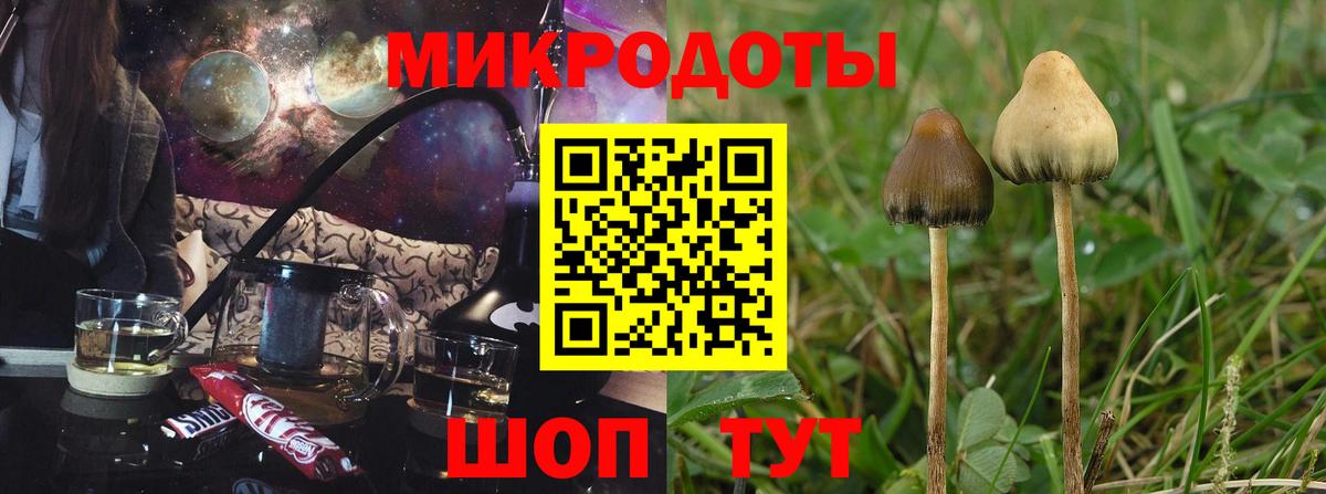 Галлюциногенные грибы Psilocybe  Вход с VPN  Лангепас 